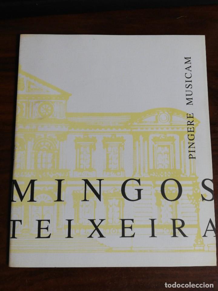 Arte: MINGOS TEIXEIRA. PINGERE MUSICAM. DEPUTACI&Oacute;N DE PONTEVEDRA. 1995
