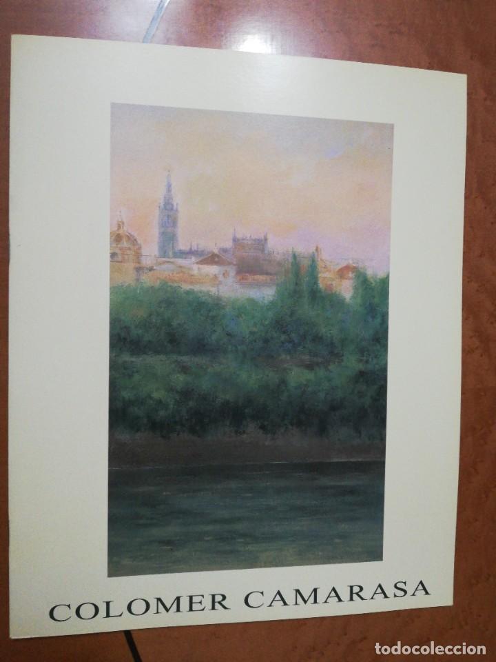 Arte: JOAN COLOMER CAMARASA. GALER&Iacute;A DE ARTE ANSORENA. MADRID. 1996