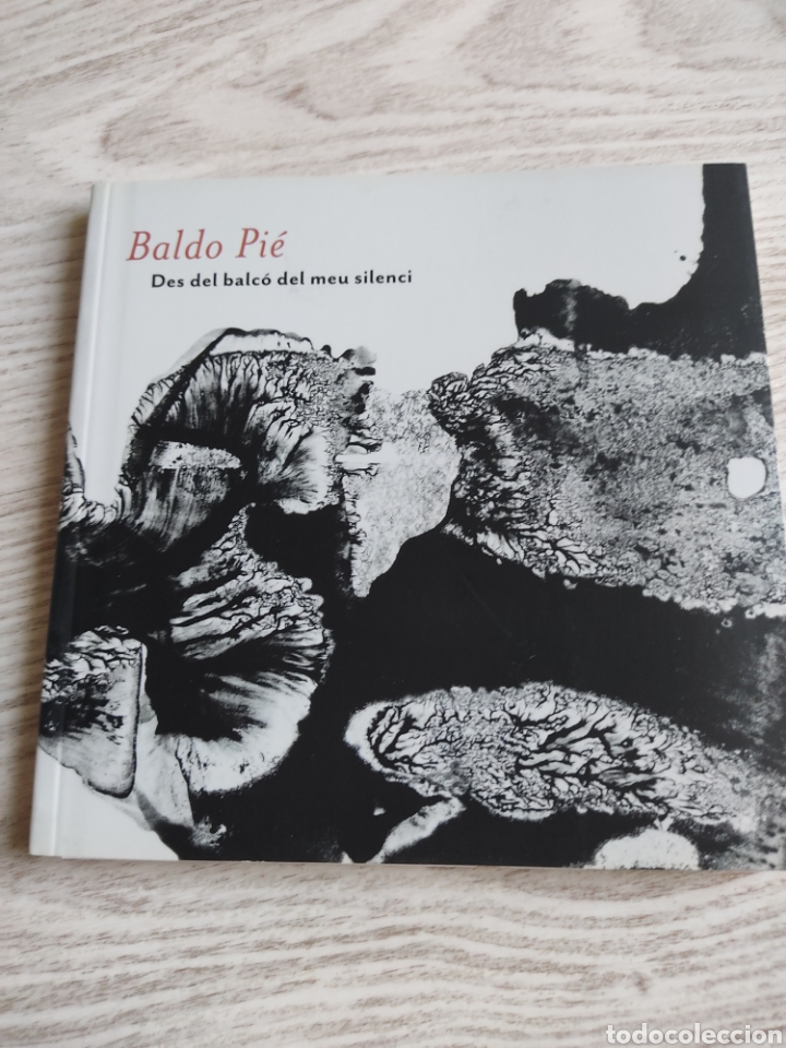 Arte: Cat&aacute;logo Baldo Pi&eacute; Des del balc&oacute; del meu silenci 2014