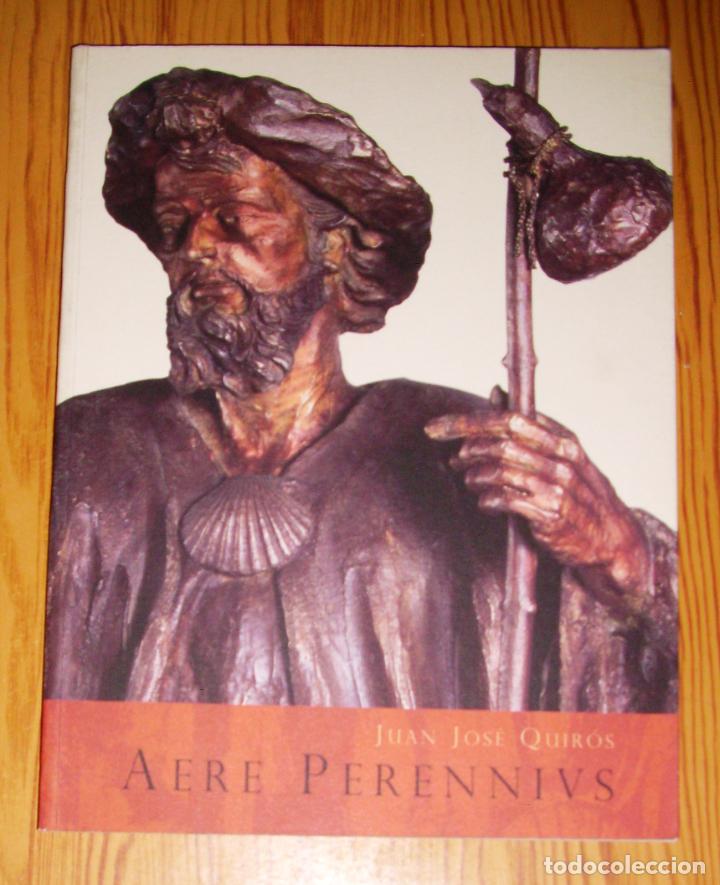 Arte: AERE PERENNIUS [PERENNIVS]. Cartagena : Palacio Molina 13 marzo - 20 abril 2008 / Juan Jos&eacute; Quir&oacute;s
