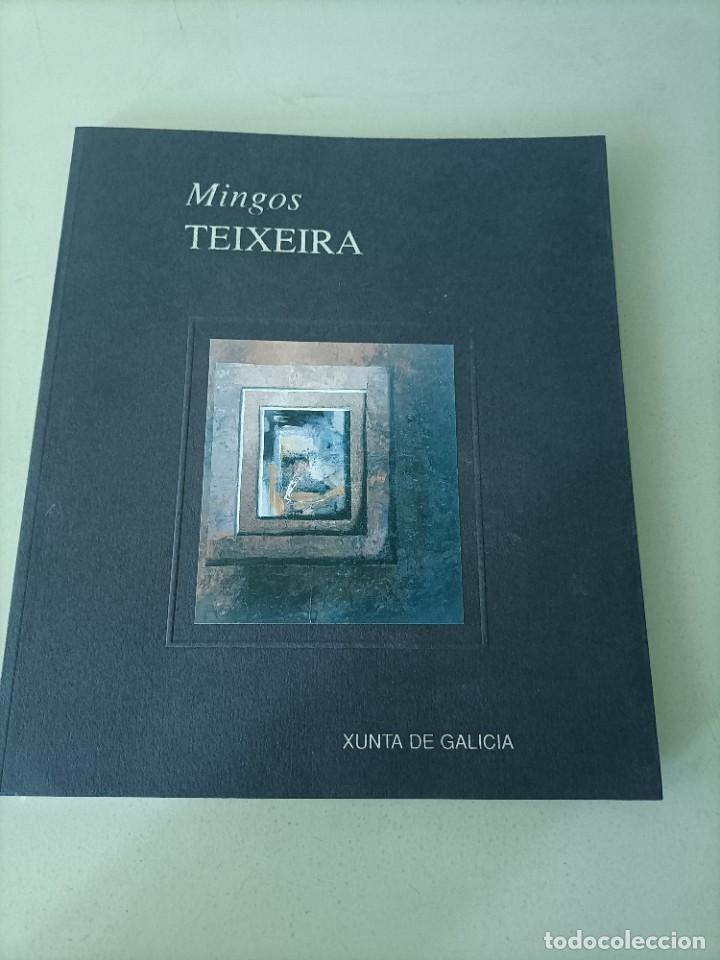 Arte: Mingos Teixeira. Xunta de Galicia. 1999