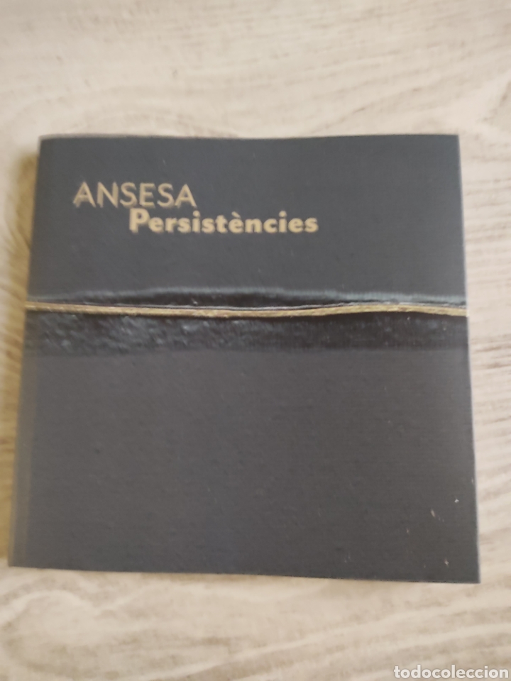 Arte: Cat&aacute;logo Enric Ansesa Persist&egrave;ncies 2020