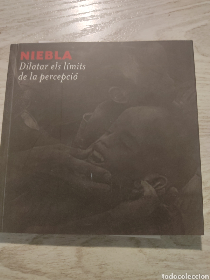 Arte: Cat&aacute;logo Niebla Dilatar els l&iacute;mits de la percepci&oacute; 2011