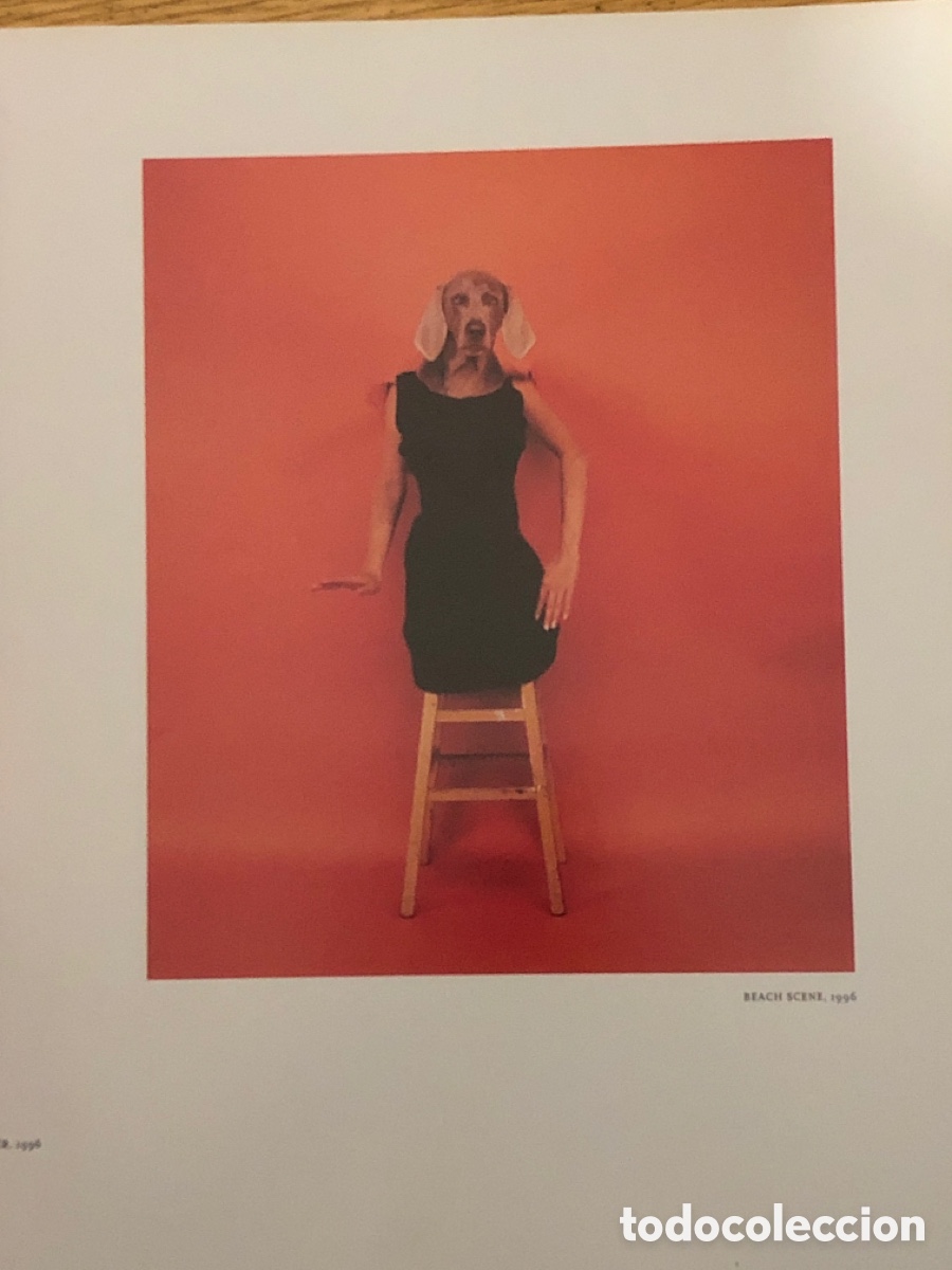 Arte: WILLIAM WEGMAN. MODEPHOTOGRAPHIEN - Foto 3