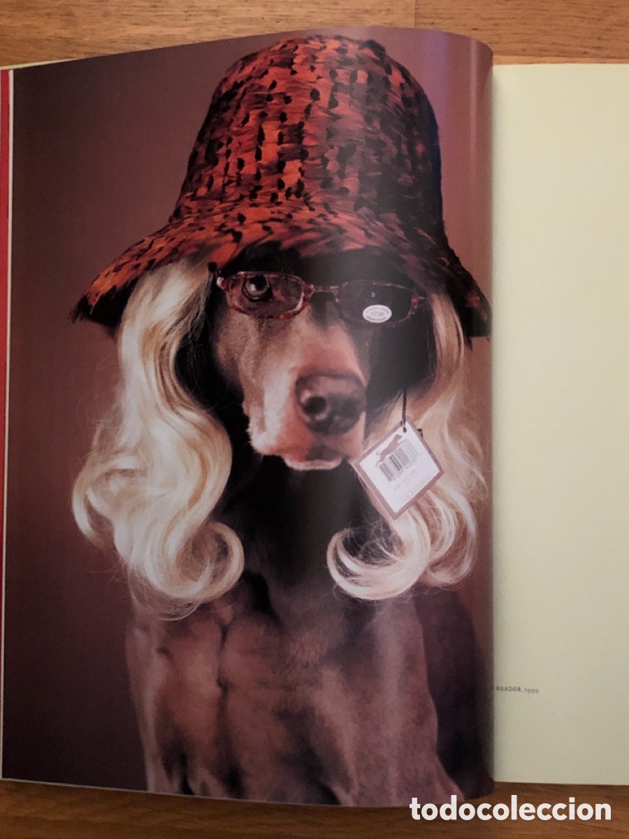 Arte: WILLIAM WEGMAN. MODEPHOTOGRAPHIEN - Foto 4
