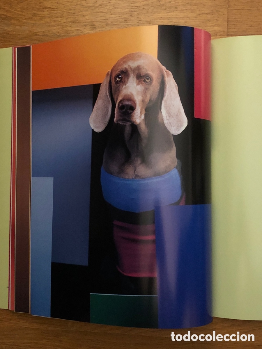 Arte: WILLIAM WEGMAN. MODEPHOTOGRAPHIEN - Foto 5