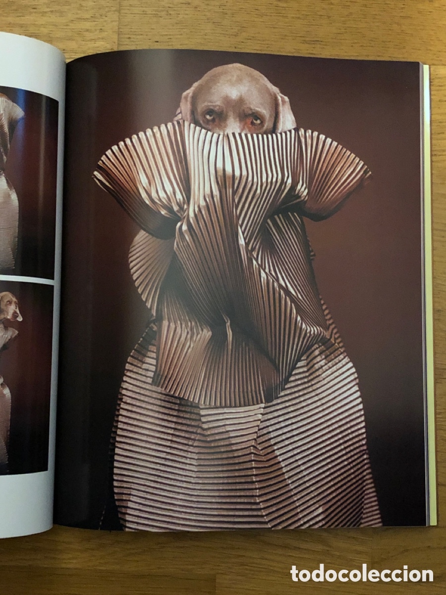 Arte: WILLIAM WEGMAN. MODEPHOTOGRAPHIEN - Foto 6
