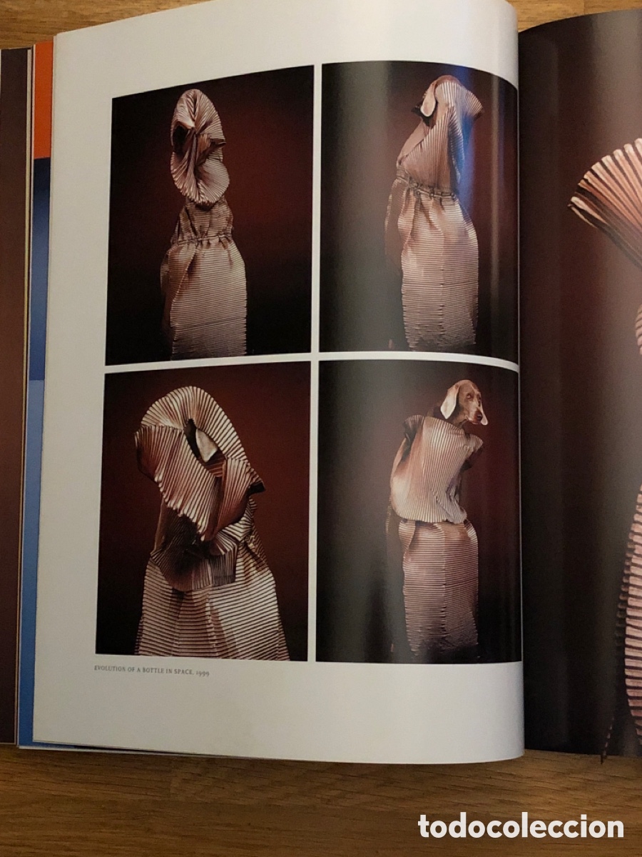 Arte: WILLIAM WEGMAN. MODEPHOTOGRAPHIEN - Foto 7