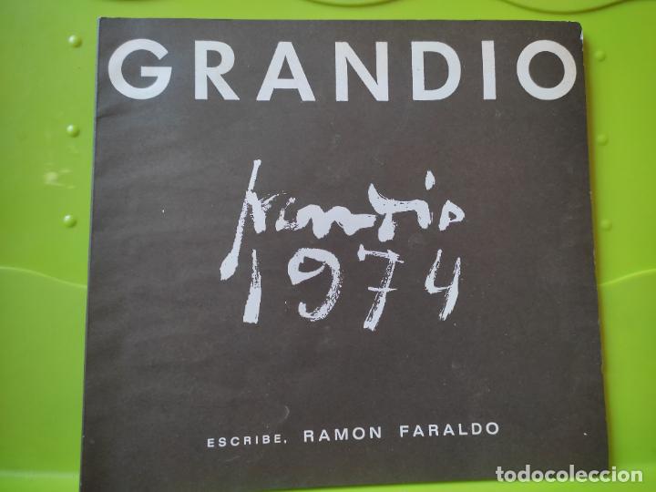 Arte: GRANDIO DIC 1975 CATALOGO ARTE EXPOSICION SALA MONZON 21,5 X 19,7 CMS NOTAS RAMON FARALDO