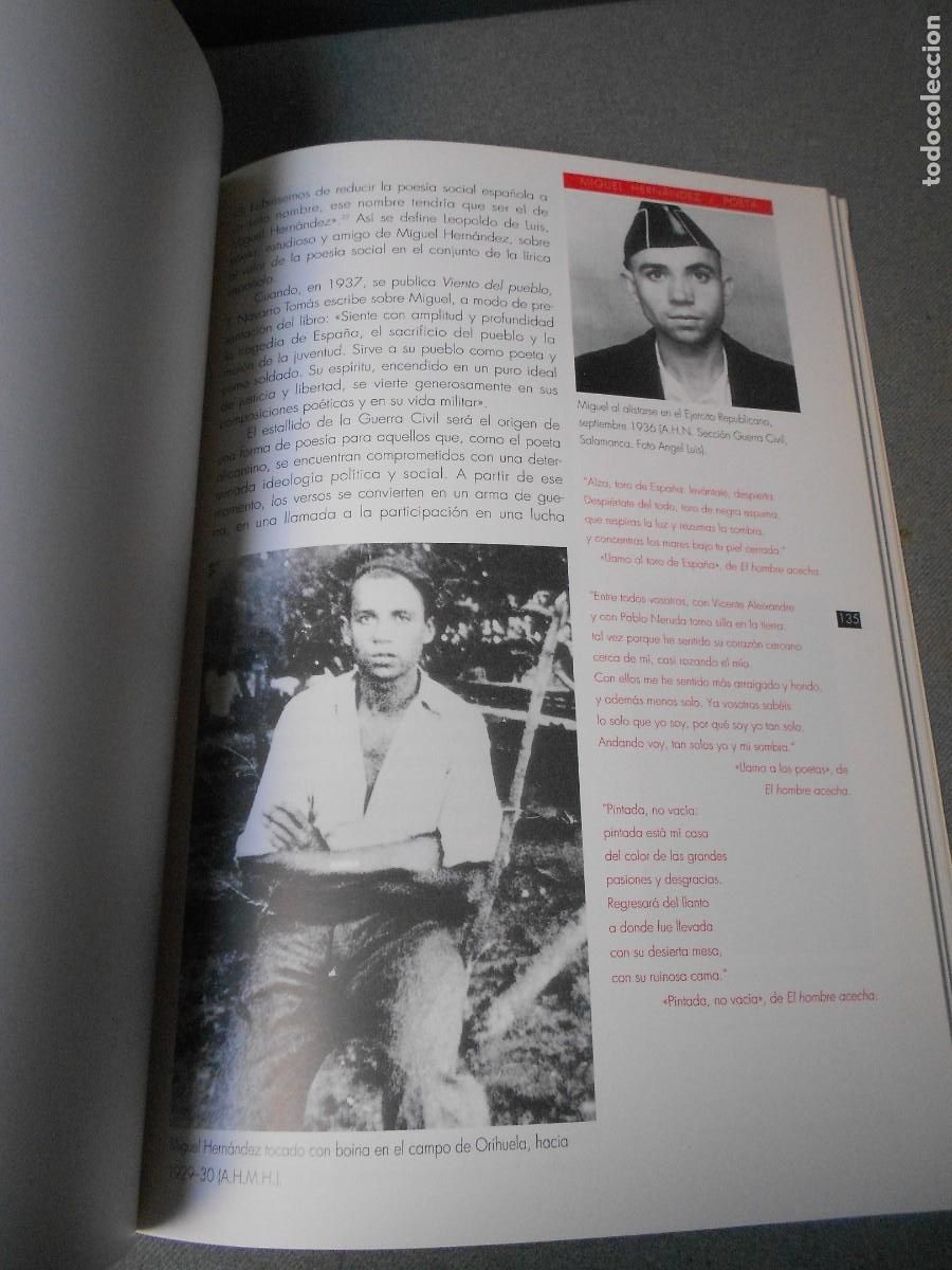 Arte: MIGUEL HERNANDEZ. CATALOGO DE EXPOSICION. - Foto 11