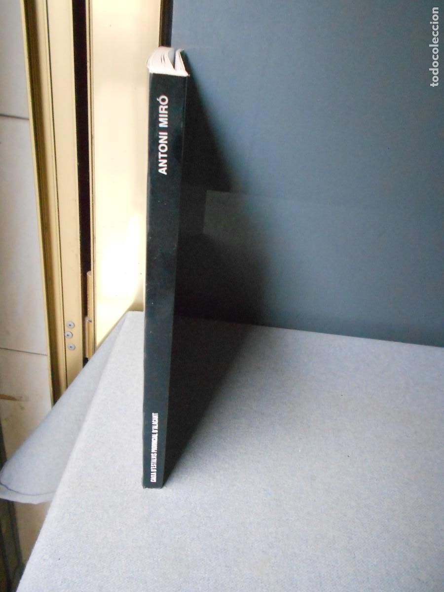 Arte: ANTONI MIRO. CATALOGO - Foto 13