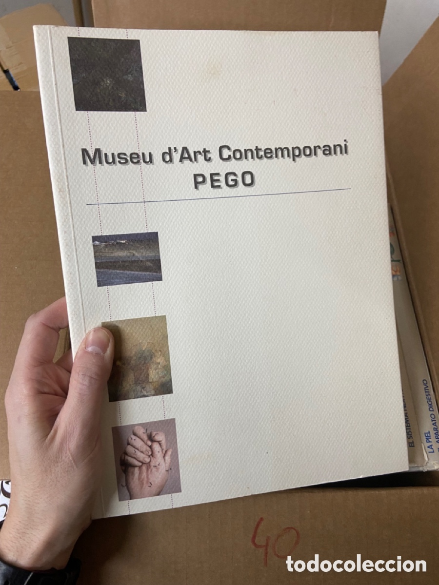 Arte: Caja40 MUSEU D'ART CONTEMPORANI DE PEGO Cat&auml;leg Certamen Nacional Pintura 1976 - 2002