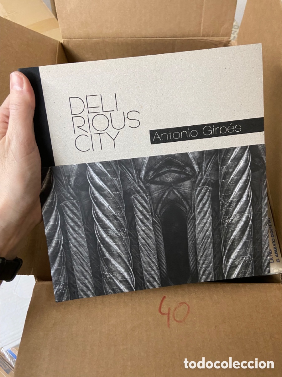 Arte: Caja40 Antonio Girb&eacute;s - delirious city - cat&aacute;logo de arte