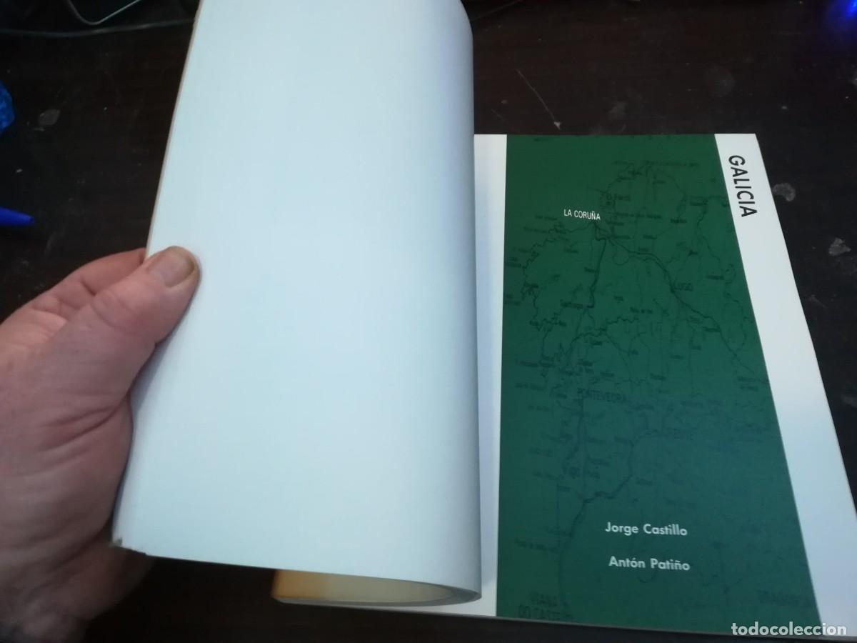 Arte: I BIENAL TANQUERAY DE ARTES VISUALES / CON336 / MUSEO CAMON AZNAR - Foto 10