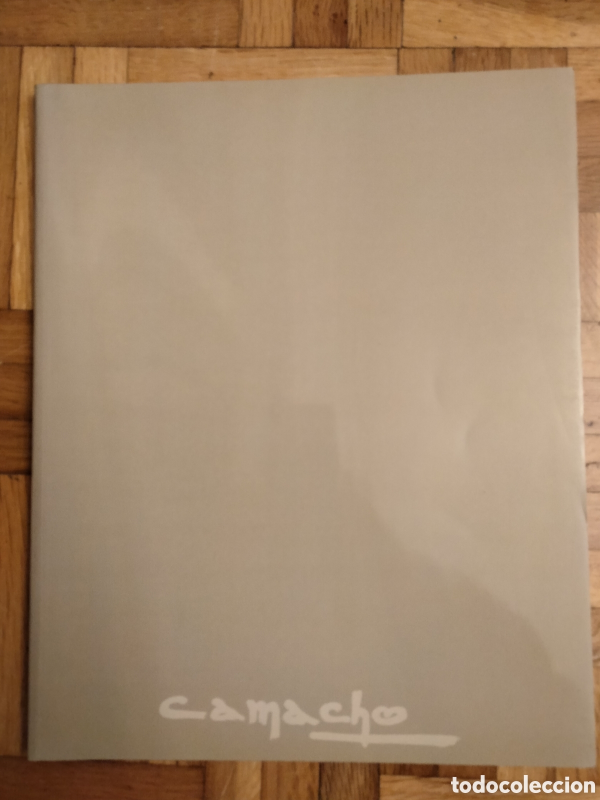 Arte: Libro-cat&aacute;logo del pintor Camacho. A&ntilde;o 1998 - Foto 2