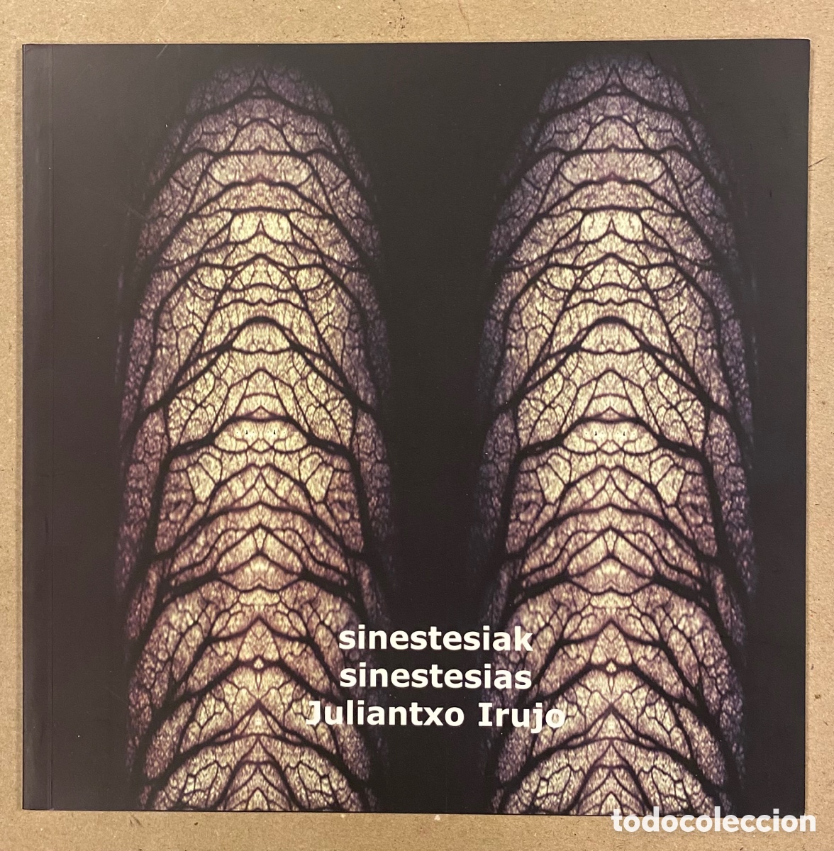 Arte: JUALIANTXO IRUJO &ldquo;SINESTESIAS - SINESTESIAK&rdquo;. CAT&Aacute;LOGO EXPOSICI&Oacute;N BILBAO 2005.