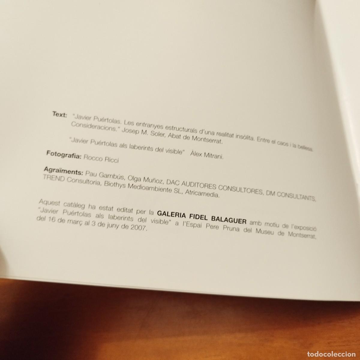 Arte: JAVIER PUERTOLAS ALS LABERINTS DEL VISIBLE / CONS261 / 2007 PRUNA - Foto 5