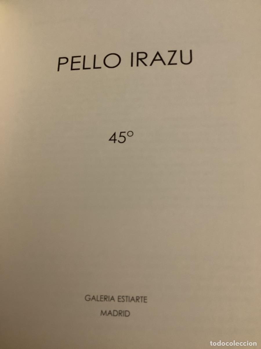 Arte: Pello Irazu.Libro de Arte - Foto 5