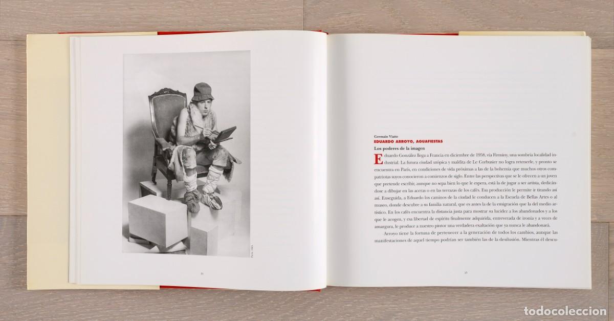 Arte: Eduardo Arroyo. Museo Reina Sof&iacute;a - Foto 3