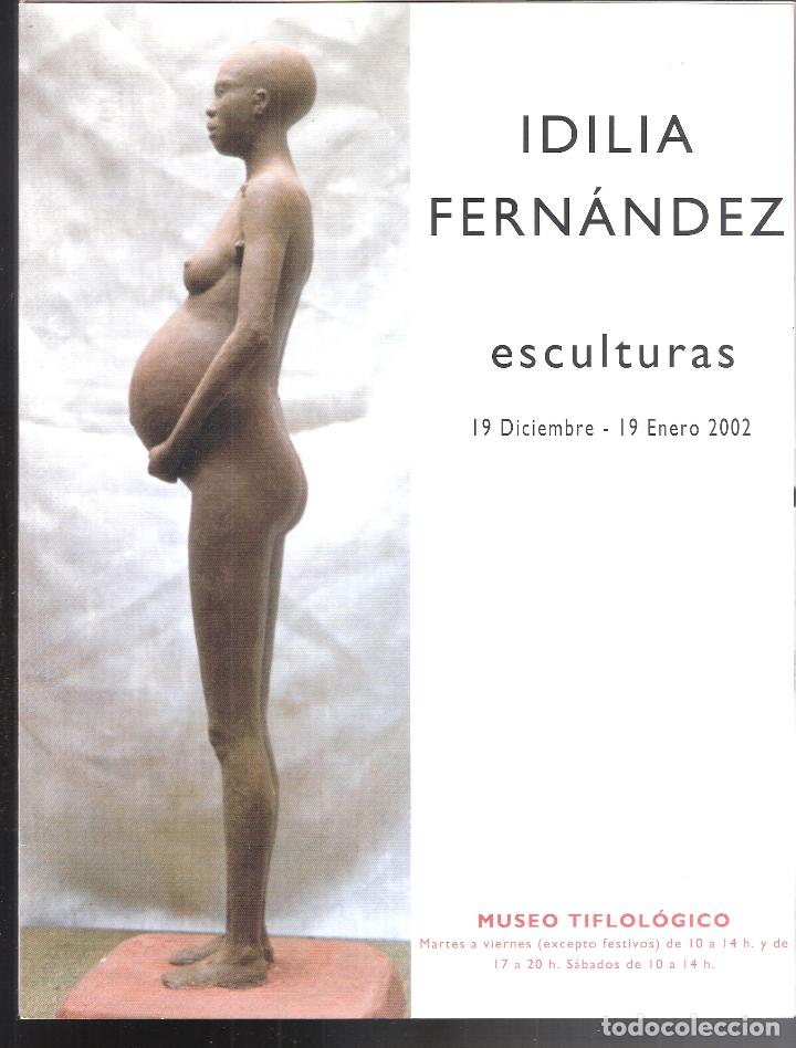 Arte: Idilia Fern&aacute;ndez. Celia Mart&iacute;n. Diciembre 2001.Museo Tiflol&oacute;gico. Desplegable (8 caras).26X20 cm.