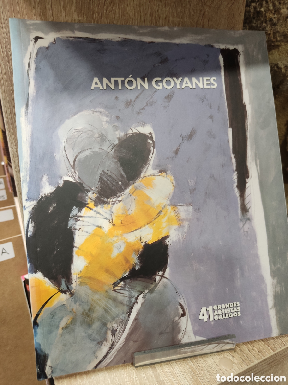 Arte: Ant&oacute;n Goyanes/ Caixanova, 2001 - Foto 1