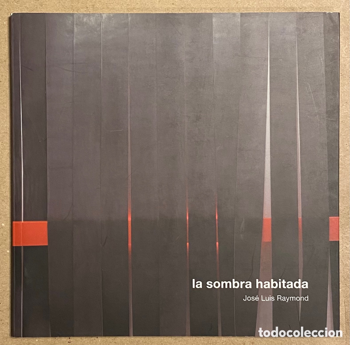 Art: JOS&Eacute; LUIS RAYMOND &ldquo;LA SOMBRA HABITADA&rdquo;. CAT&Aacute;LOGO EXPOSICI&Oacute;N MUSEO ARTE CONTEMPOR&Aacute;NEO 2009