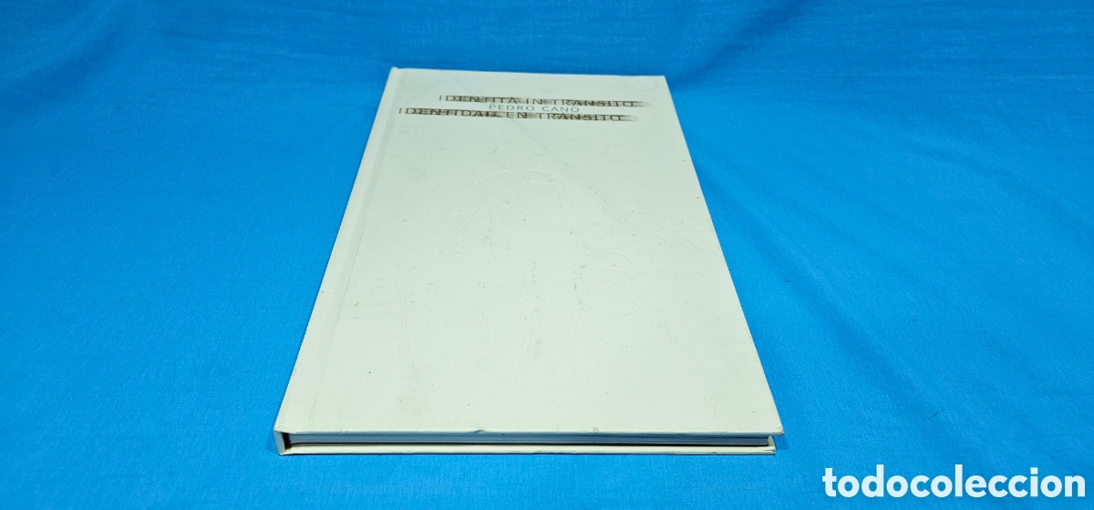Arte: CATALOGO PEDRO CANO INDENTIDAD EN TRANSITO