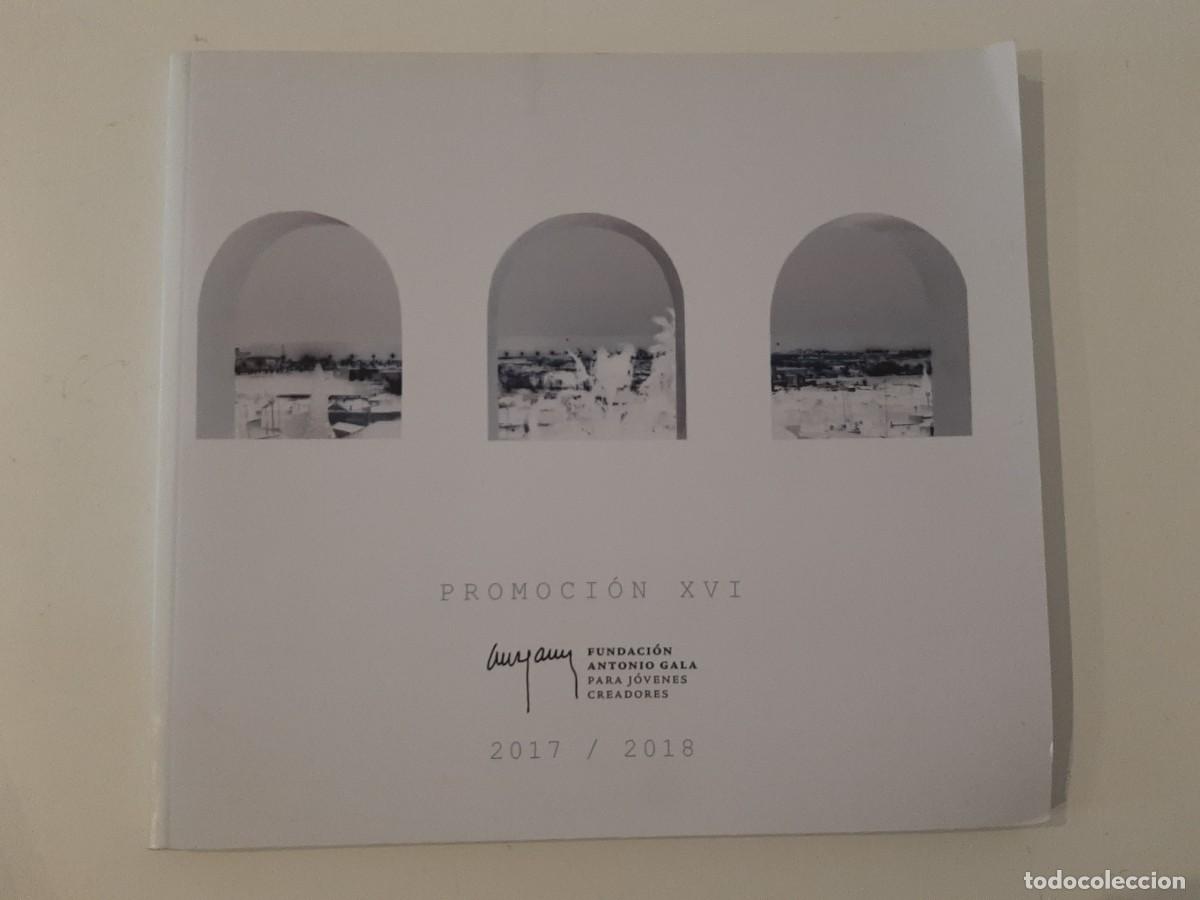 Arte: PROMOCI&Oacute;N XVI FUNDACI&Oacute;N ANTONIO GALA PARA J&Oacute;VENES CREADORES. 2017/2018. C&Oacute;RDOBA