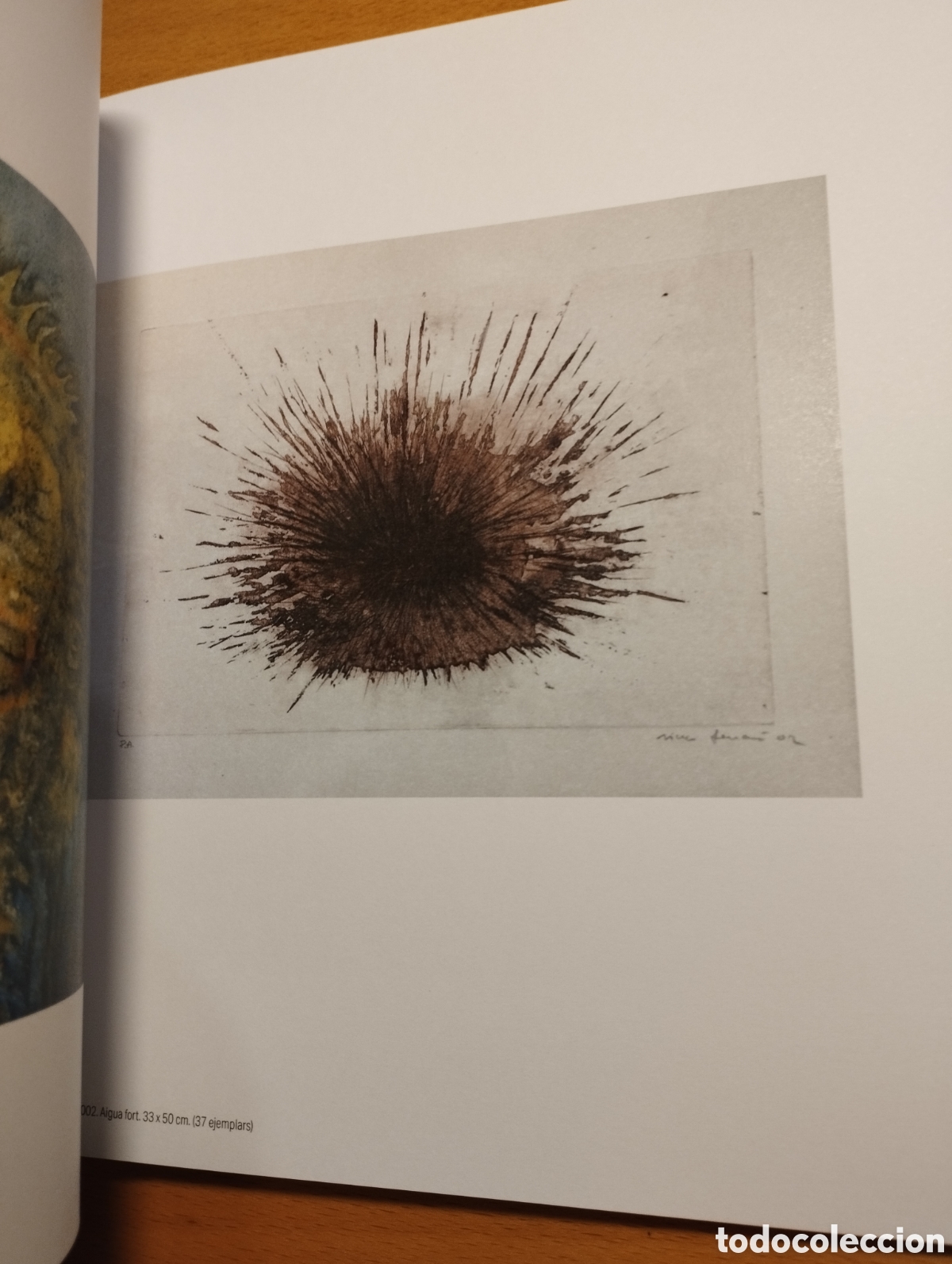 Arte: CRIATURES MARINES (FUNDACI&Oacute; BALEARIA) - Foto 8