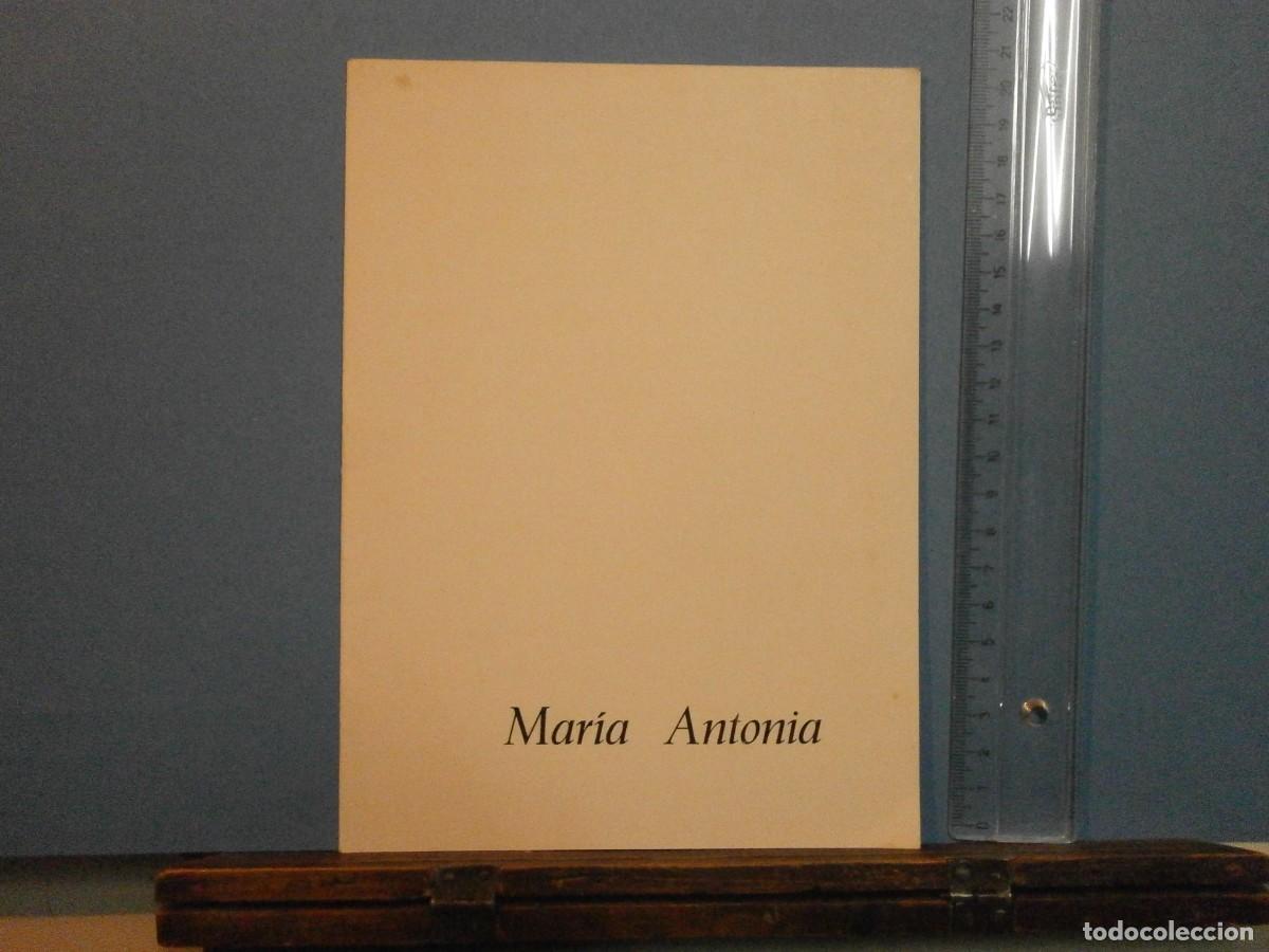 Arte: maria antonia galeria studium 1974