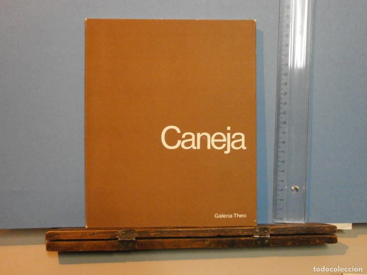 Arte: caneja galeria theo 1974