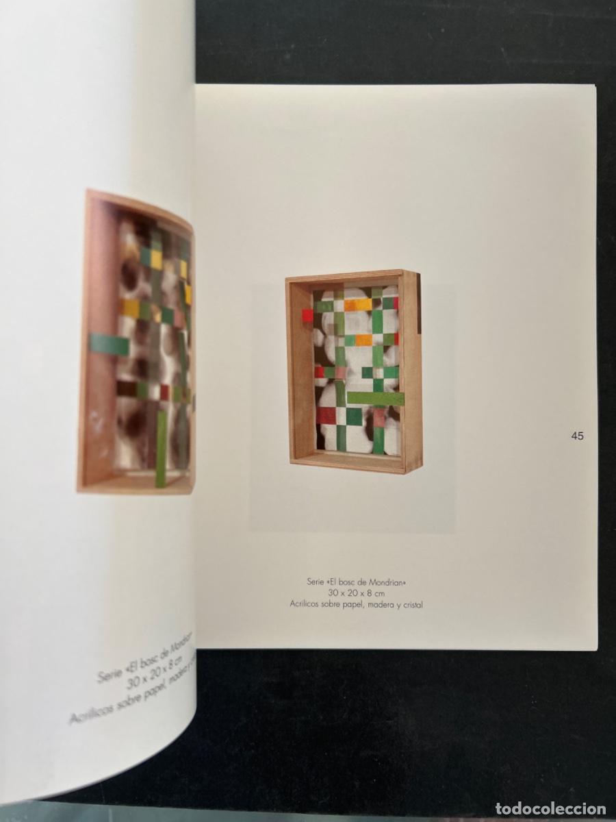 Arte: JOAN SOLER, PAISAJES DE LA RAZON - Foto 2