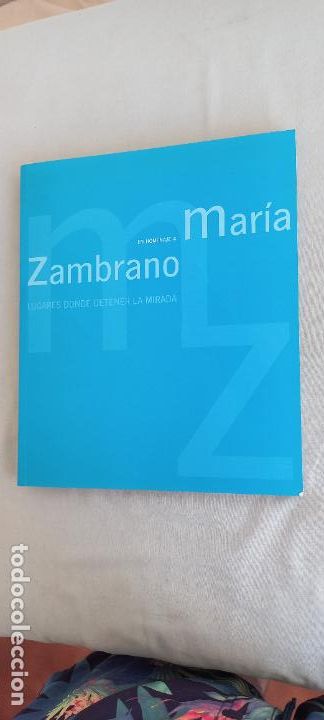 Arte: EN HOMENAJE A MARIA ZAMBRANO. LUGARES DONDE DETENER LA MIRADA. 2005. FUNDACION M.Z. LIBRO-CATALOGO