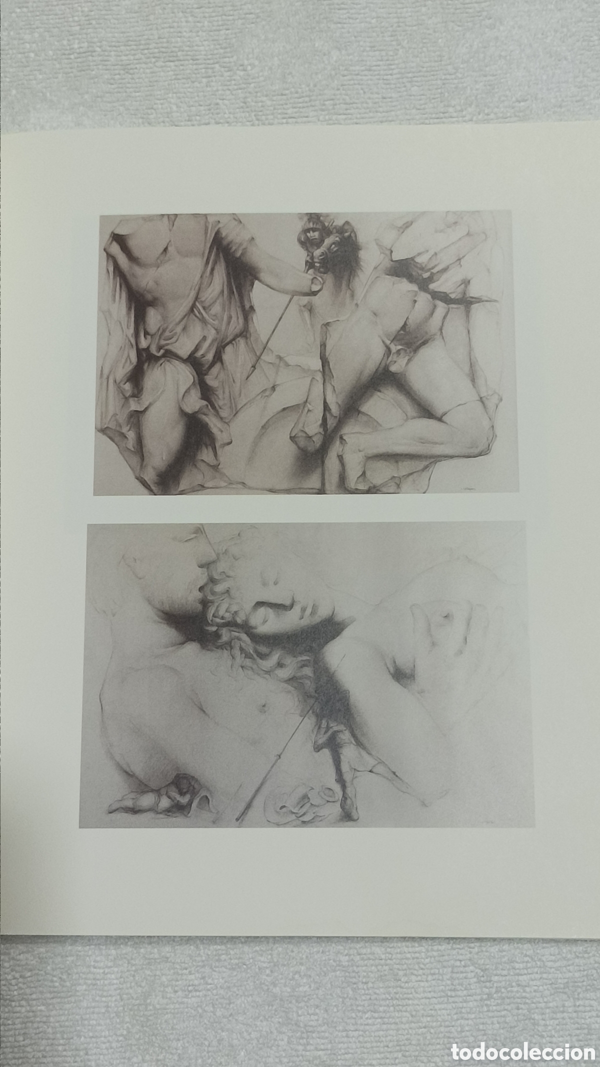 Arte: Cat&aacute;logo Joan Castej&oacute;n . 2001 - Foto 6