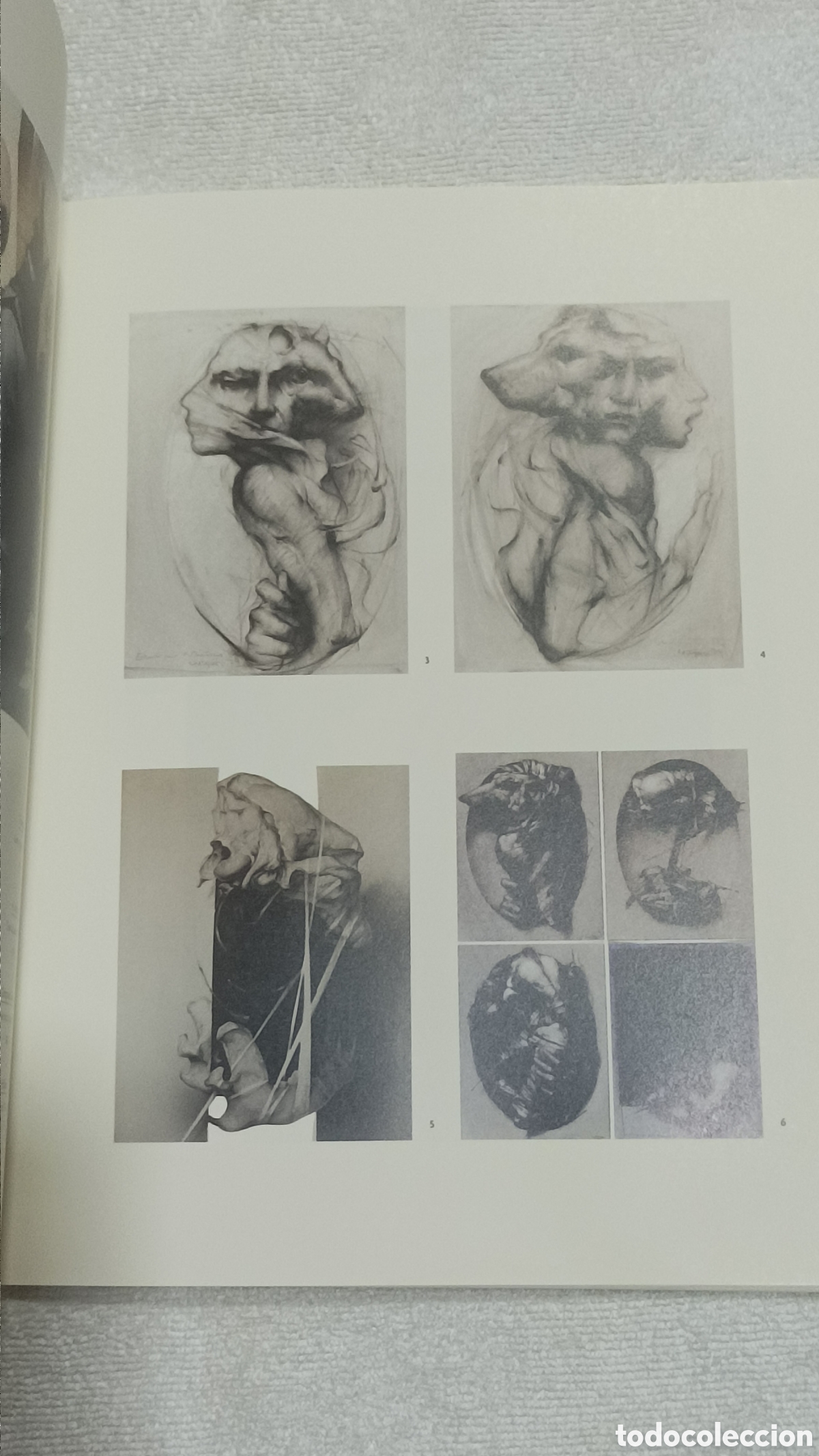 Arte: Cat&aacute;logo Joan Castej&oacute;n . 2001 - Foto 8