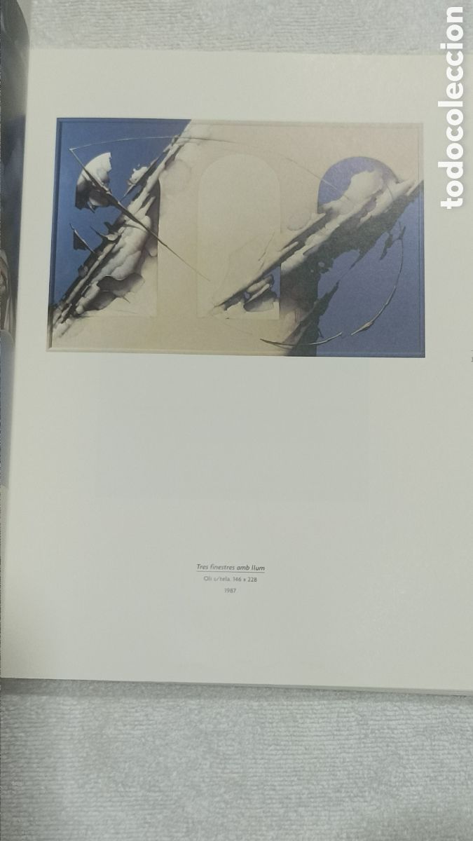 Arte: Cat&aacute;logo Joan Castej&oacute;n . 2001 - Foto 15