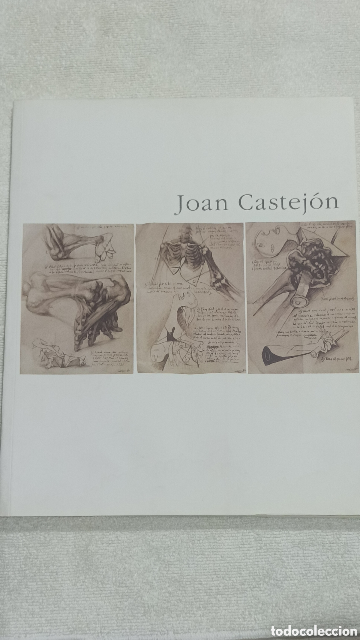 Arte: Cat&aacute;logo Joan Castej&oacute;n . 2001 - Foto 1