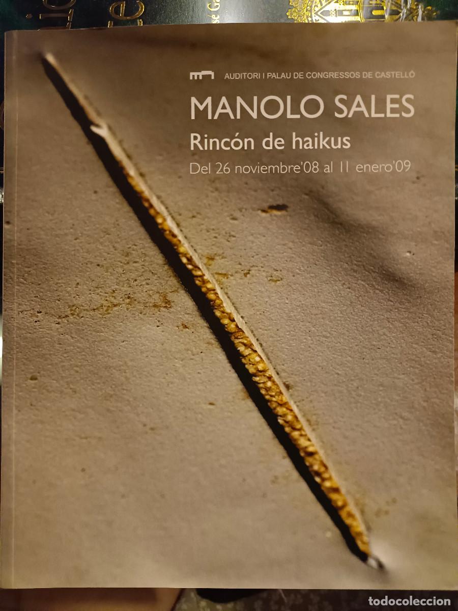 Arte: MANOLO SALES EXPOSICION - Foto 1