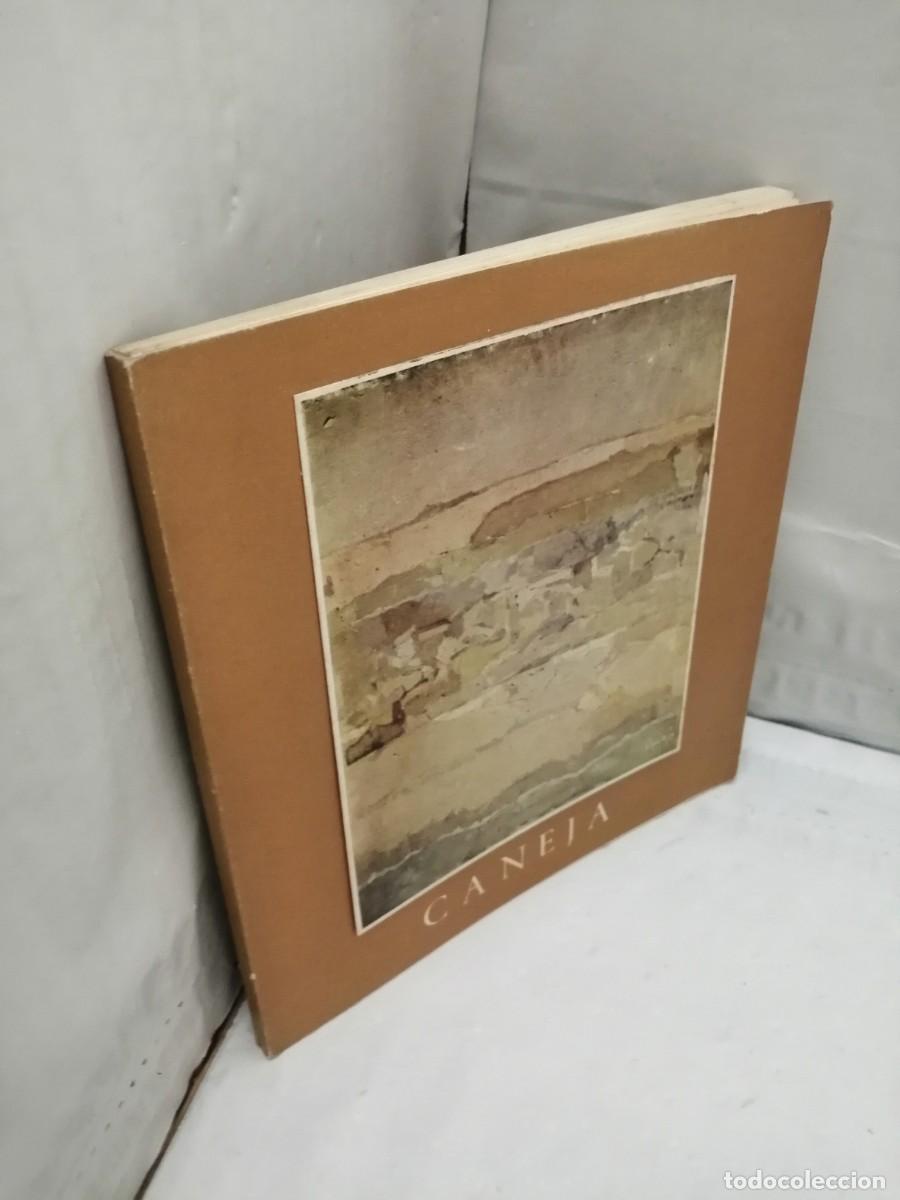 Arte: CANEJA (Cat&aacute;logo de la Exposici&oacute;n de la Galer&iacute;a Theo)
