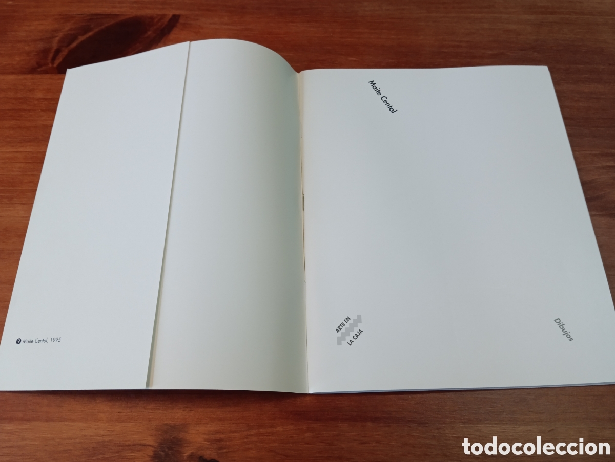 Arte: CATALOGO MAITE CENTOL. DIBUJOS. - Foto 5