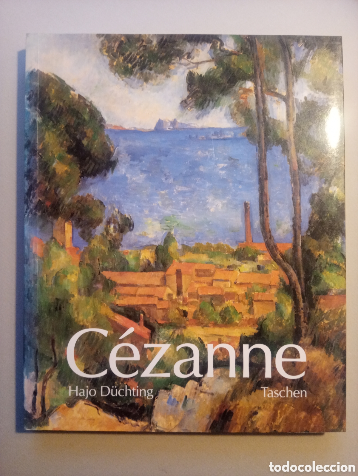 Cézanne Hajo Düchting Taschen 図録 セザンヌ Amazon.com: Paul