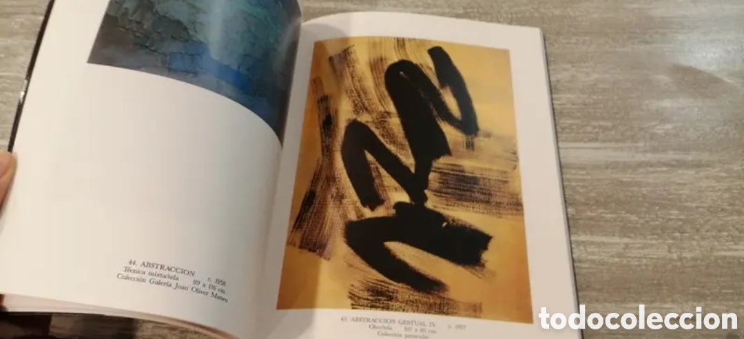 Arte: Juli Ramis Cat&aacute;logo exposici&oacute;n 1991 - Foto 10
