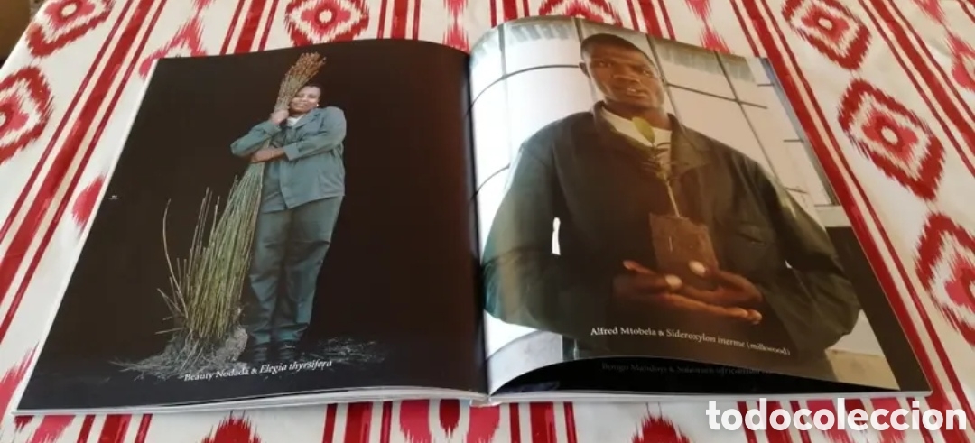 revista bloom n°13 a horti cultural view diseño - Buy Art catalogs