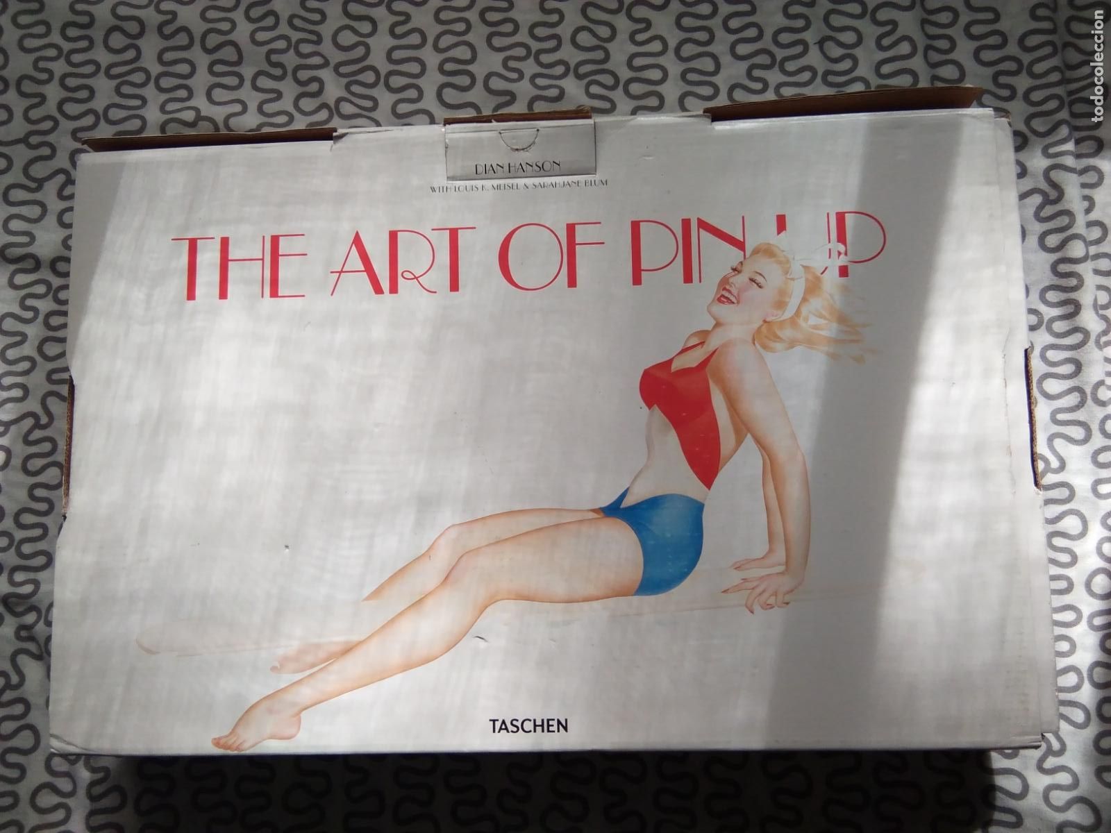 Kunst: LIBRO PIN-UP THE ART XXL