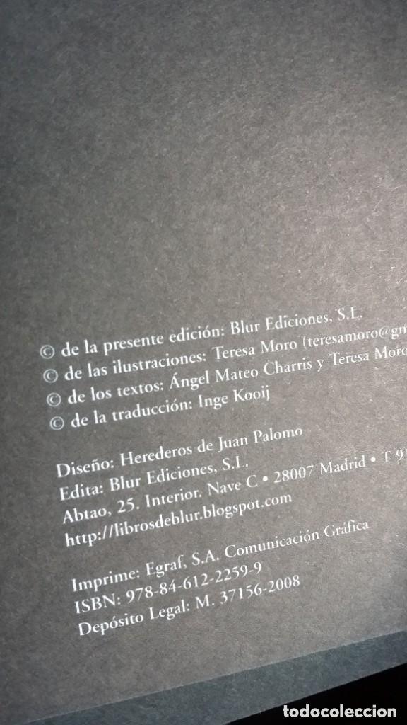 Arte: 2 cat&aacute;logos de TERESA MORO / 2008 - Foto 6