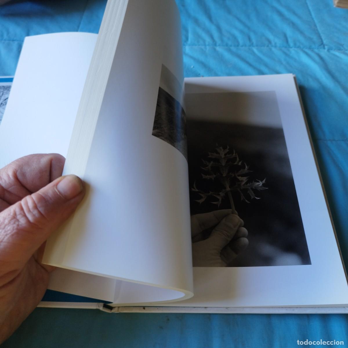 Arte: BERNARD PLOSSU, ALBARRACIN / GV63 - Foto 8