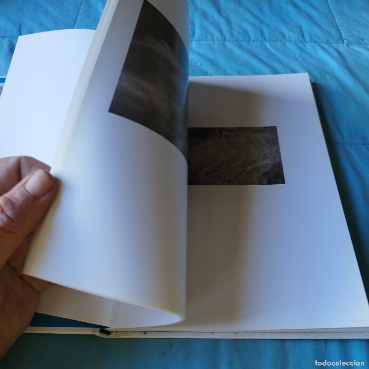 Arte: BERNARD PLOSSU, ALBARRACIN / GV63 - Foto 11