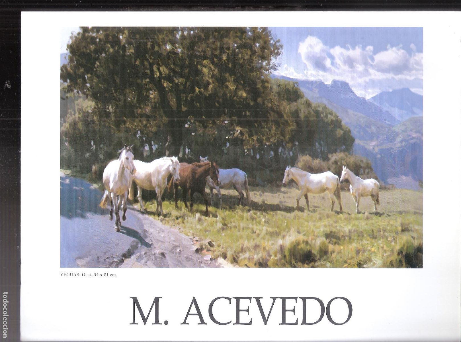 Art: M. Acebedo. Diciembre 2005. Gal.Arte Salduba, Zaragoza.Grup. Escol&agrave;. 27X21 cm.S/P (8 pags.)