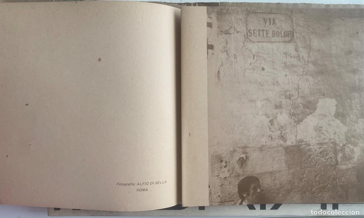 Arte: Cat&aacute;logo de Jos&eacute; Ortega - Foto 3