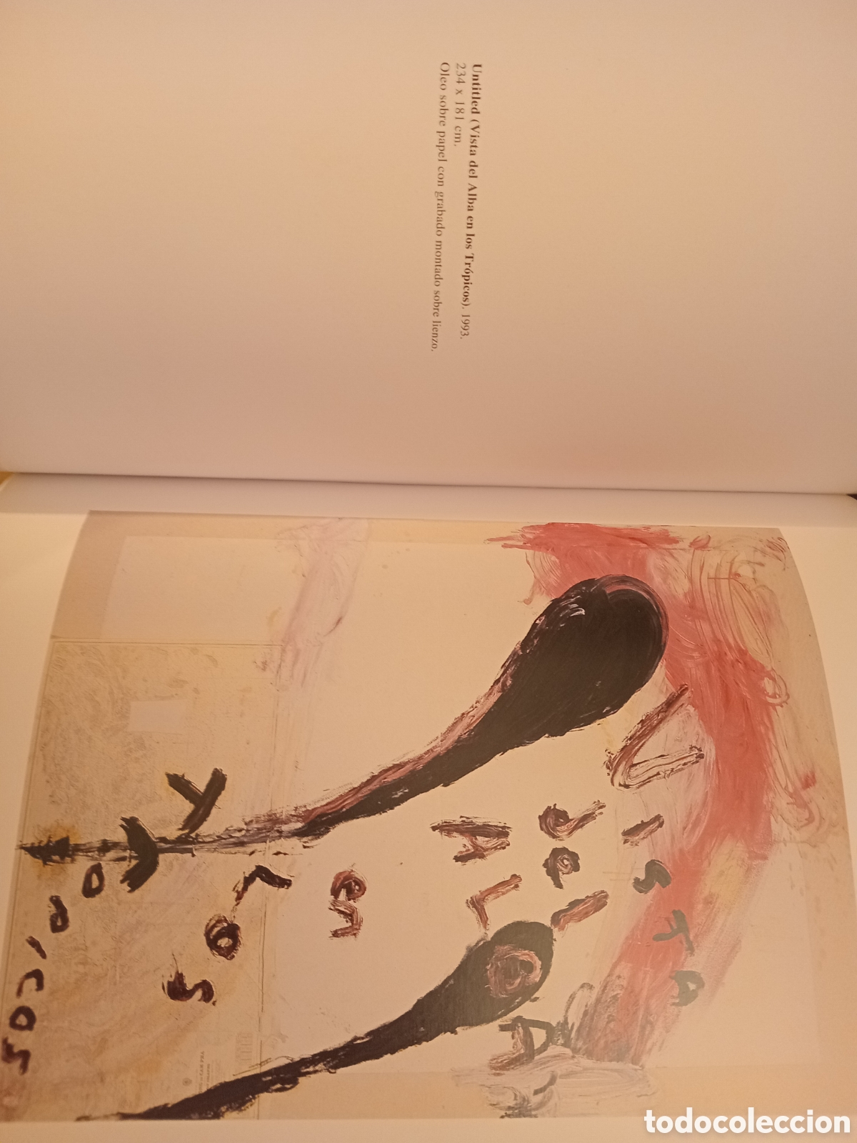 Arte: CATALOGO PINTURA JULIAN SCHNABEL, SALA DE EXPOSICIONES DE RECALDE, BILBAO, 1995 - Foto 6
